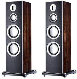 Monitor Audio Platinum PL300